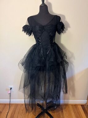 Dark in Love Fairycore Mesh Asymmetrical Maxi Dress